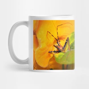 Assassin Bug Mug